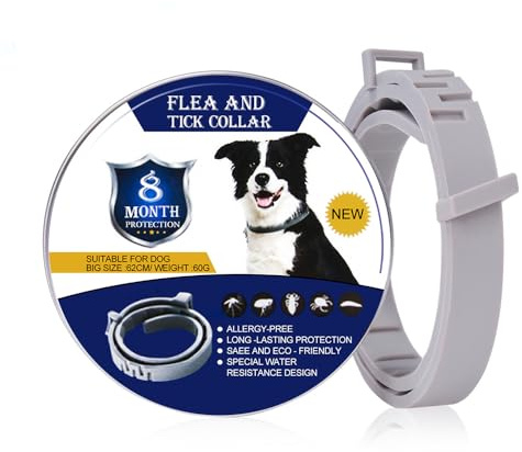 Collier Anti-Insectes pour Animaux de Compagnie Collier Anti-Insectes réglable pour Chats et Chiens de Petite et Moyenne Taille