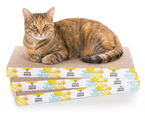 Animal House Set griffoir pour Chats en Carton 3 pièces pour Le Plaisir de Vos Amis félins, 2 Couches réversibles (Droit, 3)