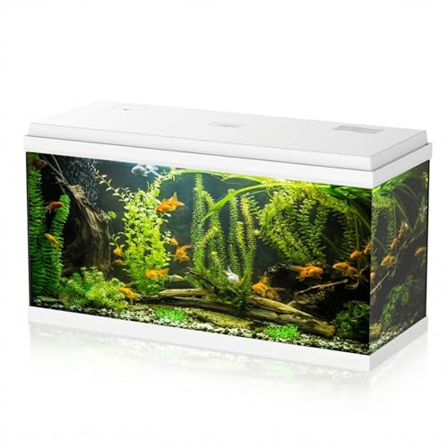 Aqpet Acquario in Vetro per Pesci tropicali Completo di Accessori Filtro Luce Simply, 100 80x32x47 cm 100 Litri, Bianco