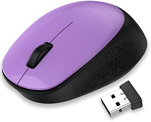 LeadsaiL Mouse senza fili, mouse wireless 2.4G silenzioso con ricevitore USB, monitoraggio ottico 1600 DPI, mouse a 3 tasti, compatibile con PC, Mac, laptop, Windows - viola