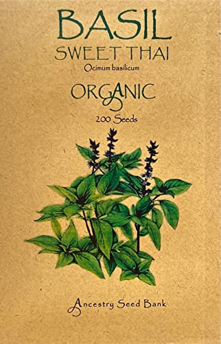 Organic Basil ❁ Sweet Thai ❁ x200 Seeds Heirloom Herb - Non GMO