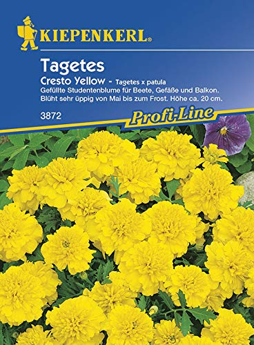 Kiepenkerl 3872 Tagetes Cresto Yellow (Tagetessamen)