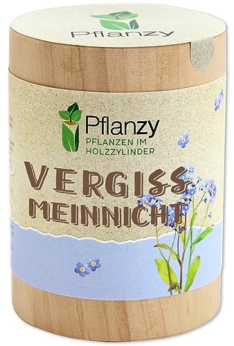 Feel Green Pflanzy Vergissmeinnicht, Nachhaltige Geschenkidee (100% Eco Friendly), Grow Your Own/Anzuchtset, Pflanzen im Holzzylinder, Made in Austria, Holz