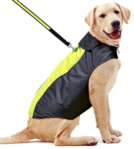 Hundemäntel Wasserdicht-Leichter Hunde-Regenmantel Verstellbare Hundeweste Reflektierende Haustierjacke Warmes Hundetuch für Kleine Mittlere Große Hunde (Grün, X-Large)