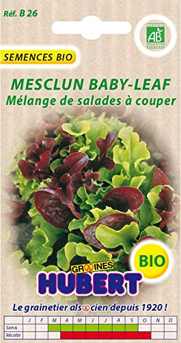Graines de Mesclun Baby Leaf avec Roquette BIO - 3 grammes