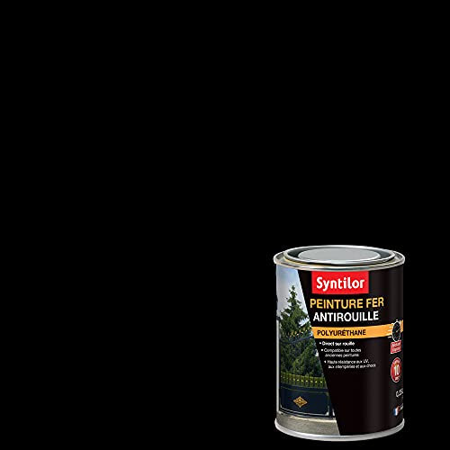 Syntilor - Peinture Fer Ultra Protect Noir Mat RAL 9005 0,25L