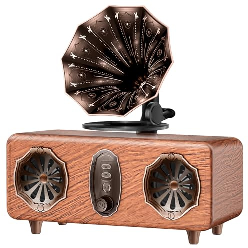 FREEFISH Retro Bluetooth Speaker Retro Radio with 5.4 Bluetooth Version, FM Radio, Bass Vintage Wireless Speaker Support USB/TF/AUX Player for Home Office Room Bedroom