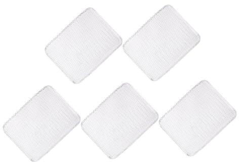 Hemobllo 5 Pièces Non Adhésif de Barbecue Jetables pour Viande Poisson Accessoires de Camping de Plein Air