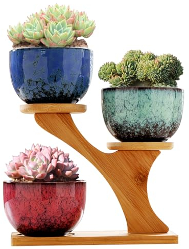 Jueison Succulent Pots with 3 Tier Bamboo Saucers Stand Holder Modern Decorative Ceramic Flower Pots with Drainage Mini Cactus Plant Pot Planters for Indoor Home Office Desk Garden Decor (#006)