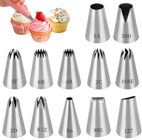 12 Pcs Beccucci Sac a Poche, Bocchette Sac a Poche Professionali in Acciaio Inox, Beccucci Decorazione Pasticceria per Torte, Cupcake, Biscotti, 12 Forme Diverse