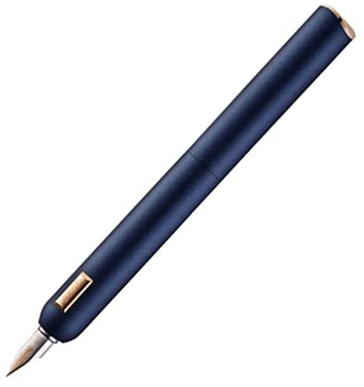 LIOONS Füllfederhalter zum Schreiben Metall Füllfederhalter 14 Karat Goldspitze Business Ink Pen Atemberaubende Luxus-Stifte Geschenkbox für Männer und Frauen