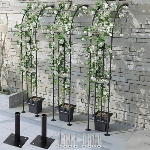 Arche de jardin treillis métallique pour plantes grimpantes, pergola de support de rose demi-arc noir, structure en acier, décoration extérieure 60-300 cm (l 120 x H 240 cm)