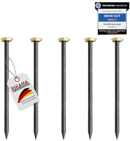 30 clavos de 50 mm de longitud – clavos de acero para uso en hormigón, ladrillo, yeso y madera – Clavos de acero endurecido para colgar cuadros – Fabricado en Europa (cabeza dorada, 50 mm)