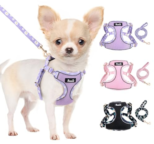 Eyein Hundegeschirr Kleine Hunde mit Leine, Atmungsaktiv Air Mesh Brustgeschirrmit reflektierenden Streifen, Verstellbarer Step-in Geschirr für extra kleine/kleine mittelgroße Hunde, Lila, XXS