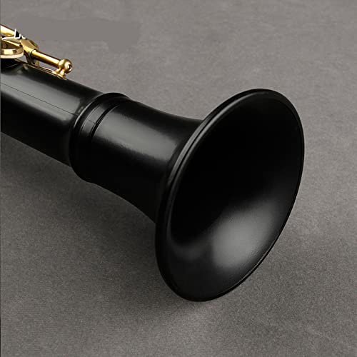 flauto di bambù, Sassofono for principianti for bambini, mini tascabile, ancia contralto, strumento musicale professionale for, flauto, clarinetto(Black)