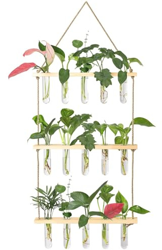 XXXFLOWER Wall Hanging Propagation Station with Wooden Stand 5 Glass Test Tubes 3 Tiers Planters Wall Terrarium for Home Office Plant Hanger Flower Vases Wall Decor Hydroponic Cuttings