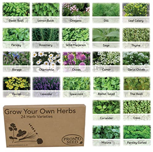 Pronto Seed Herb Bumper Pack - Grow Your Own Kit with 24 Herb Varieties - Aromatic, Mediterranean, Garden & Classic Herbs - Gardening Gift for Women and Men (Herb Pack)