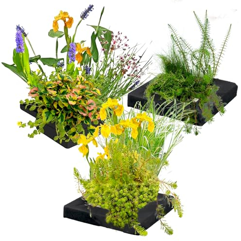 vdvelde.com - Pflanzeninsel Trio - - 3x schwimmende Insel: 25x25x5cm - 12 wasserreinigende Pflanzen - Platzierung: lose auf dem Wasser
