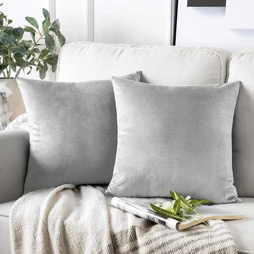 AMEHA Samt-Kissenbezüge, 45 x 45 cm, 2er-Pack, quadratische Kissenbezüge, dekorativer Grauer Kissenbezug für Sofa, Schlafzimmer, Wohnzimmer, mit unsichtbarem Reißverschluss