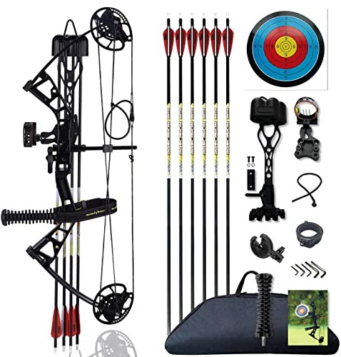 PANDARUS Compound Bow Set 10-40lbs for Pull Child Right Hand Lightweight Design Bow Adjustable 16~28 Draw Length IBO 290fps New 2023 Professional Set (Black Right Handed)