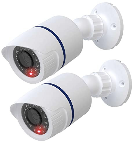 WALI Dummy Fake Camera, Surveillance Security CCTV Dome Camera, Indoor Outdoor Dummy Camera with Flashing Red LED Light and Security Alert Sticker Decals, 2 Pack, White (TC-W2)