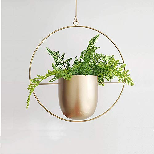Yoommd Hängender Blumentopf Metall Blumenampel Decke Hängender Pflanzenaufhänger für Außen Innen Terrasse Veranda Balkon Haus (Rund-Golden)