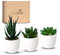 Coradoma Künstliche Pflanzen Mini 3er Set Weiß Dekoration Kunstpflanzen im Topf | Wohnzimmer Deko modern Küchendeko | Kunstblume Sukkulente Fensterbank Schreibtisch Wanddeko Büro Schlafzimmer