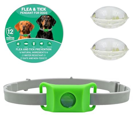 ZVD Collare Antiparassitario per Cani, Collare Antiparassitario Naturale, Ciondolo Repellente per Pulci e Zecche Per Cani, Ingredienti 100% Naturali, Protegge da Pulci e Zecche (Verde)