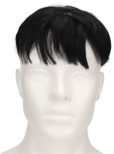 Toupet Court pour Hommes, Perruque de Cheveux, à la Mode, Beaux Hommes, Postiche Courte, Extensions de Cheveux pour Couvrir la Perte de Cheveux Blancs, Usage Quotidien