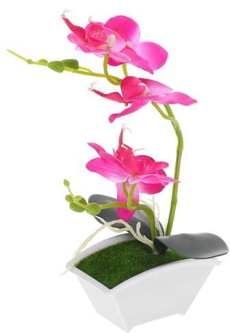 DECHOUS Künstliche Im Topf Dekoration Für Badezimmer Und Küche Für Hochzeiten Und Besondere Anlässe Phalaenopsis Und Vielseitig