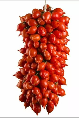 Pomodoro Piennolo o Piennolo del Vesuvio, Varietà Tipica Napoletana, typical Neapolitan tomato seeds