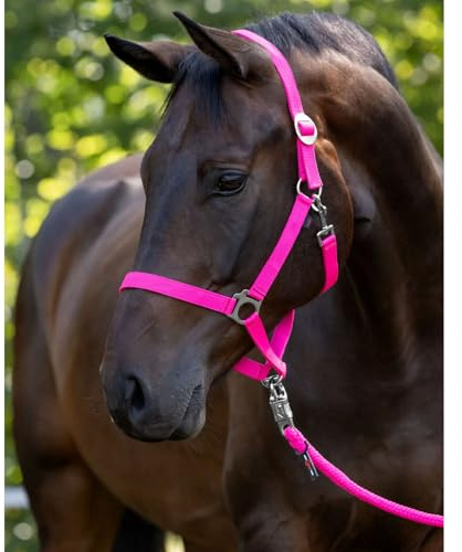 Brama West COVALLIERO Juego de cabestro para caballos hipopótamo, cabestro ajustable, cabestro y punto, 2 m, con gancho de pánico (rosa, completo)