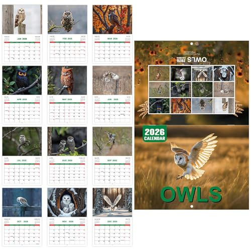 Calendario de búho, planificador anual 2026, planificador personal de gestión del tiempo, suministros de oficina para lista de tareas, organización de objetivos de planificación de vacaciones