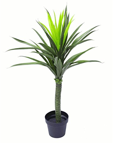 Leaf LEAF-7010 90cm (3ft) Large Artificial Spiky Tree Plant Realistic, Yukka Green