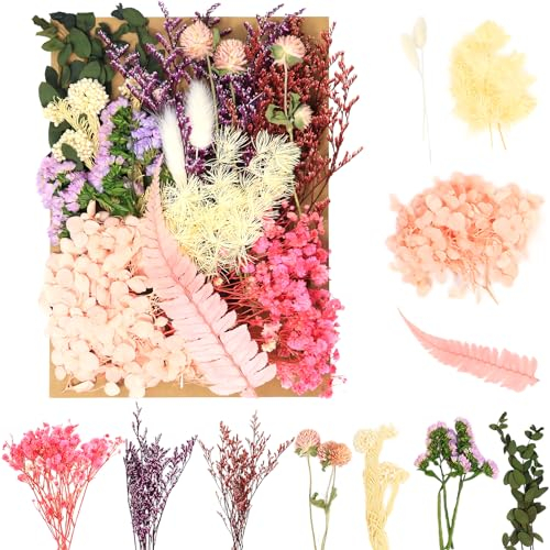 Sularpek Natürliche getrocknete Blumen zum Basteln, gepresste Blumen für DIY-Kunst und Schmuckherstellung