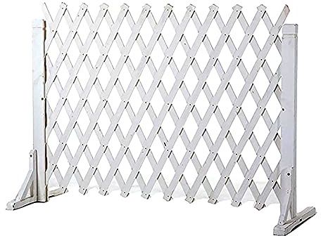CHALKE White Wooden Garden Fence, Wooden Freestanding Extended Gate Heavy Duty Fence, Collapsible Design and Lightweight Plant Screen Pet Gate (Size : H100xL200cm)