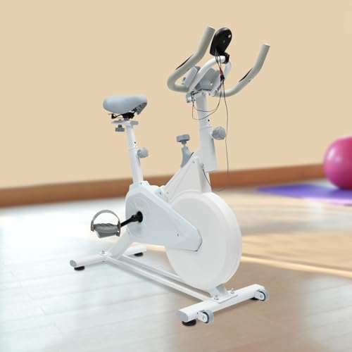 motionscykel med justerbart motståndssystem, fitnesscykel med ergometer 4 kg svänghjul telefon surfplattehållare för hus gym gym och andra inomhusplatser (vit)