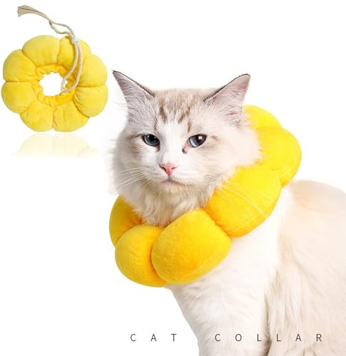 Halskrause Katze, Elisabethanisches Katzenhalsband, Katzen Halskrause, Katze Halskrause, Halskrausen Für Katzen, Leckschutz Katze, Halskrause Katze Weich, Katzenbody, Katzen