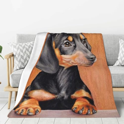 LfearTesa Coperte per divani e poltrone, copriletti, coperte da viaggio, coperte per divani e letti, grazioso dipinto a olio di un bassotto,80x60