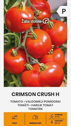 Zalia Stotele | Tomates - Graines Crimson Crush H | Graines de légumes | Planter des graines | Graines de tomates | Un hybride précoce et à croissance élevée | Les fruits ronds et rouges | 1 paquet