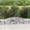 Gabionen mit Hochbogen 5 Stk. 400x50x40/60cm Verzinktes Eisen, Xichuzi Gabionen Zaun, Steinkorb Garten, Gabionenkörbe, Gabionen Gitter, Dekorative Zã¤une - 3146960