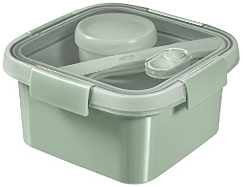 CURVER 249947 Scatola di conservazione, Plastica