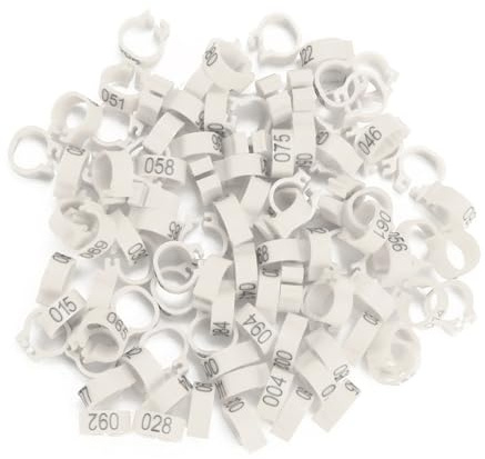 LUCKDANO Anelli per Piccioni 100 Pezzi 8MM Anelli per Zampe di Piccione - Non Tossici e Resistenti all'usura, Adatti per Piccioni Viaggiatori Che Pesano Fino a 400 Ge Molti Uccelli adulti. Sei