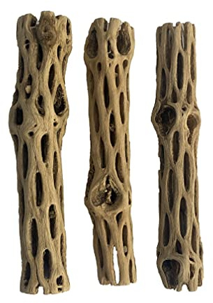 Awesome Aquatic Natural Cholla/Choya Wood 3 Pieces 6” for Shrimp Habitat and Food Treat Hermit Crabs Plecos Aquarium Decoration Lowers pH Hideouts and Chew Toys Reptiles Thorn Free Dried Organic