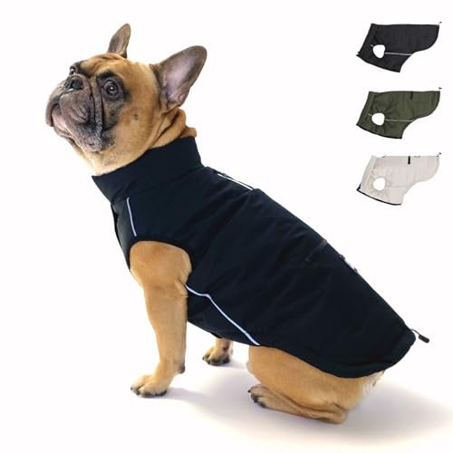 PAW WOW Toni Hundejacke | Winter Hundemantel mit Bauchschutz | Hundeweste für große & kleine Hunde (Schwarz, L)