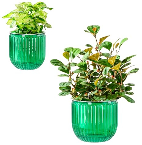 Josteve Self Watering Plant Pots Indoor, 16.5/13.5cm 2 Pack Plastic Flower Pots Orchid Garden Planters Outdoor for Herb, House Plant, African Violets, Visible Water Level Planter w/Drainage Holes