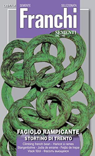 SCATOLA SEMI DI FAGIOLO RAMPICANTE STORTINO DI TRENTO ORTO GIARDINO SEMI
