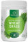 Certified Organic Wheat Grass Powder 250g, Alkalising and Detoxifying, Detox, Immune System, Vegan, No Added Dairy, Soy, Gluten or Wheat, 100% New Zealand Wheat Grass Leaf Powder