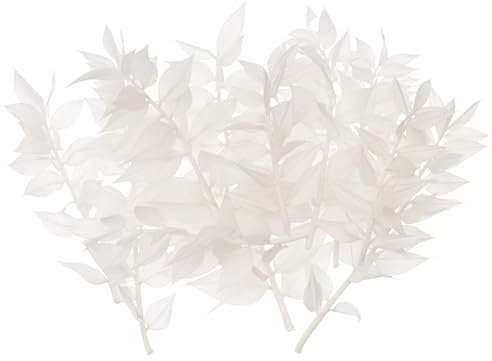 The Baked Studio - Original Dried Flower Ruscus Set For Cake & Cupcake Decorating & Others Crafts (White)