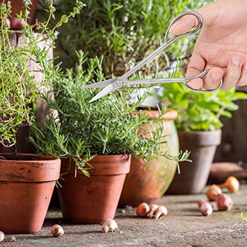 Juego de Tijeras de Podar Manuales Profesionales, Tijeras para Bonsái de Acero Inoxidable, de Cizalla de 185 Mm, Adecuado para Arte en el Jardín, Podar Ramas, Flores,